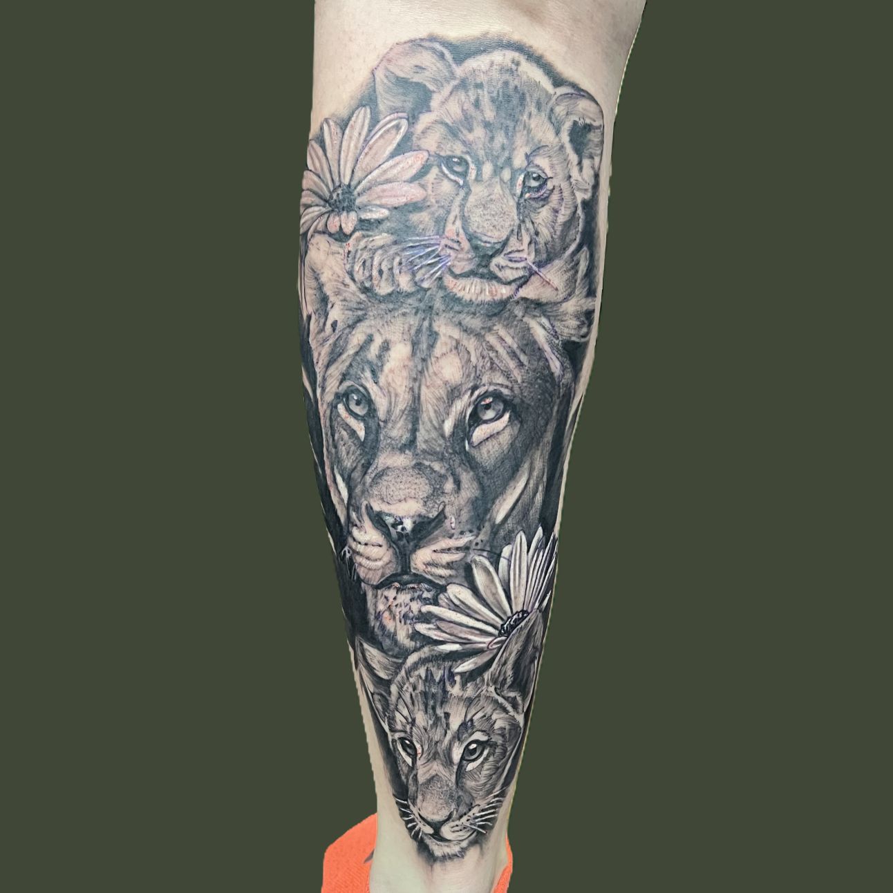 Black and grey realism tattoo on a calf: a lioness with one cub resting on her head and another below, accented with daisies.